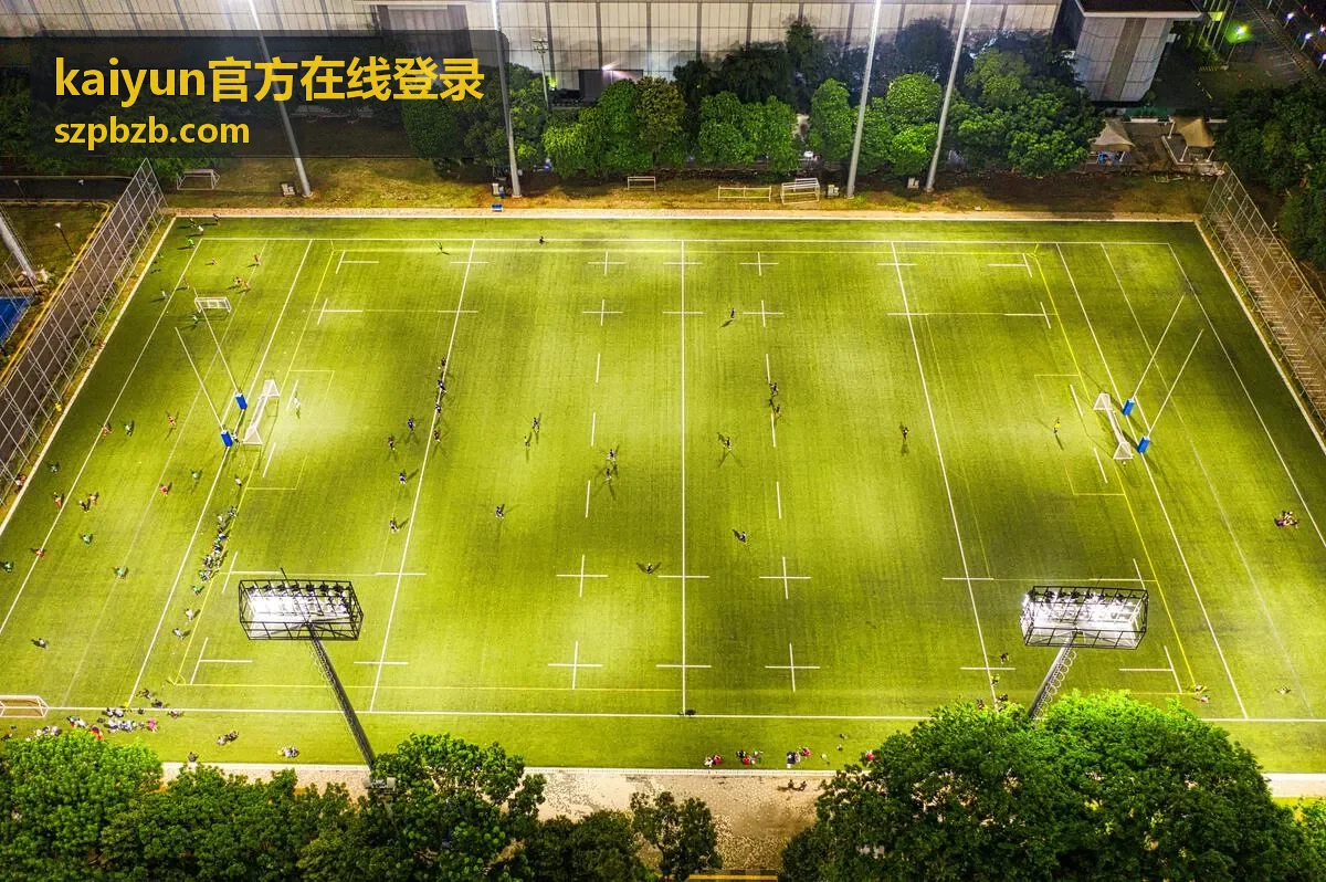 kaiyun官方在线登录 登录问题排查示意界面