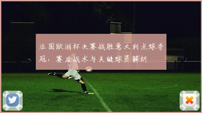 法国欧洲杯决赛战胜意大利点球夺冠,赛后战术与关键球员解析