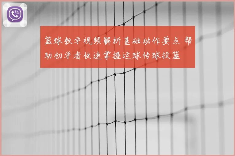 篮球教学视频解析基础动作要点 帮助初学者快速掌握运球传球投篮