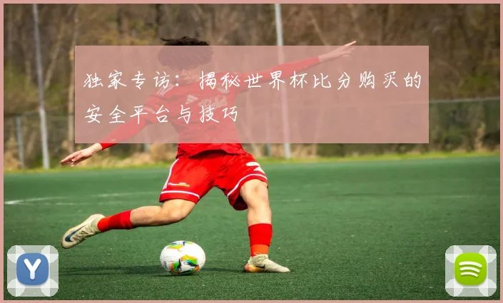 独家专访：揭秘世界杯比分购买的安全平台与技巧