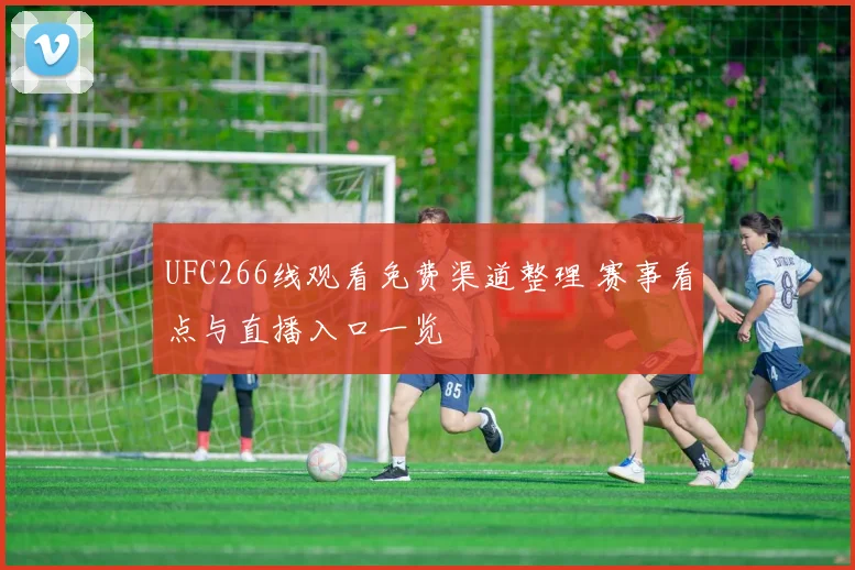 UFC266线观看免费渠道整理 赛事看点与直播入口一览
