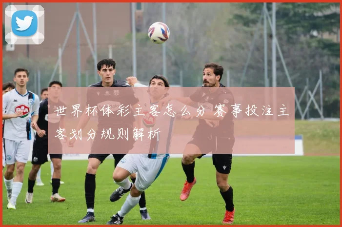 世界杯体彩主客怎么分 赛事投注主客划分规则解析