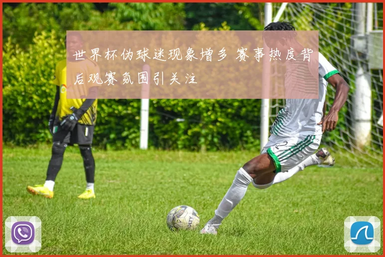 世界杯伪球迷现象增多 赛事热度背后观赛氛围引关注